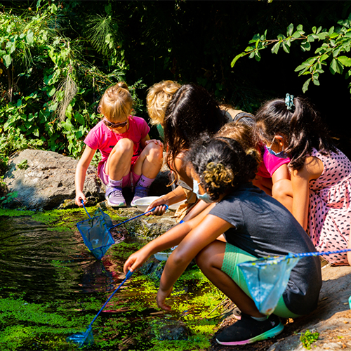 children examining a pond